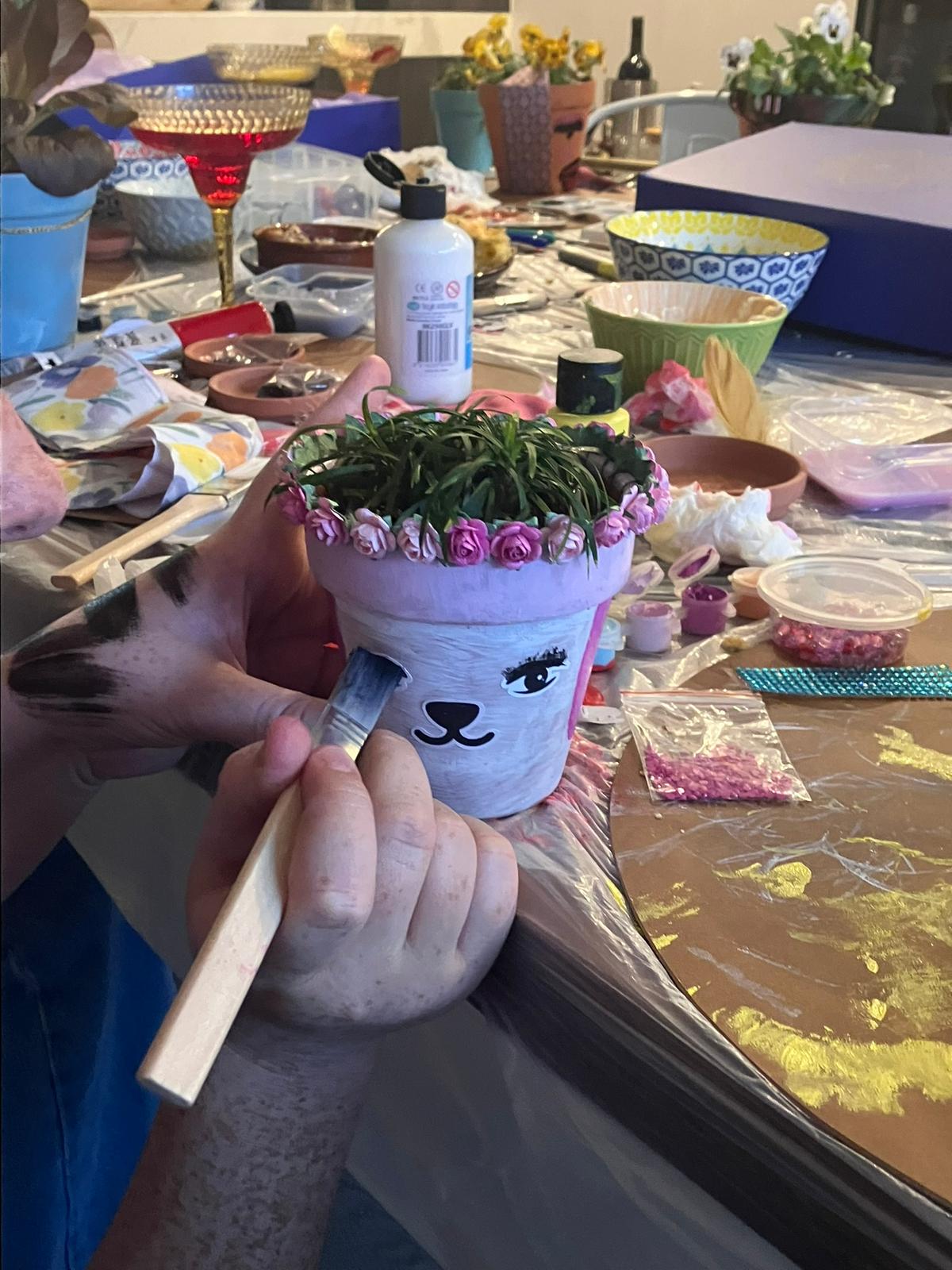 Pot Plant Face Kit (Girls Night In)