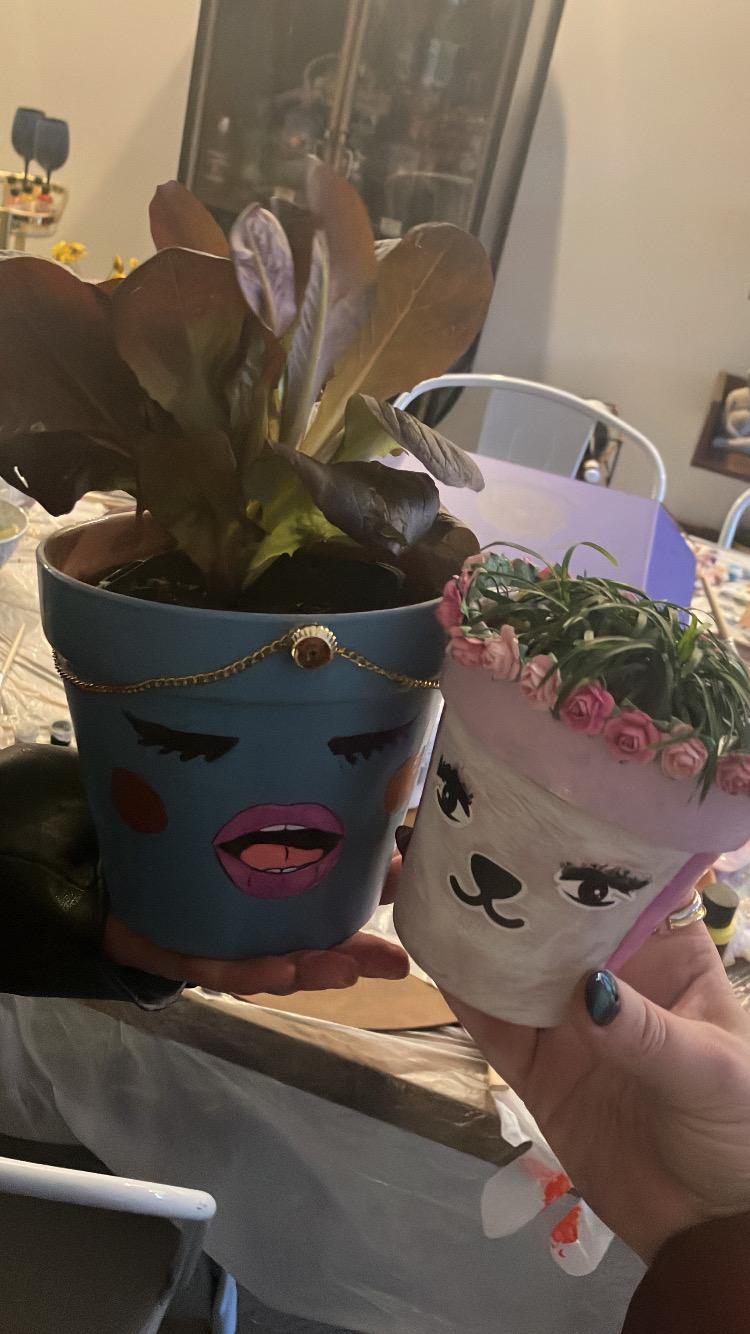 Pot Plant Face Kit (Girls Night In)