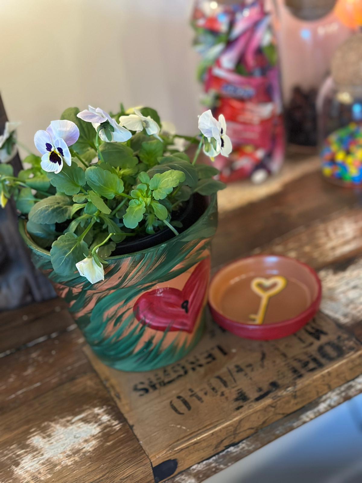 Pot Plant Face Kit (Girls Night In)